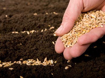 Filippo, responsabile AC: “Mi hanno consegnato un seme di cui prendermi cura”