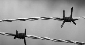 27 gennaio. Giornata della memoria